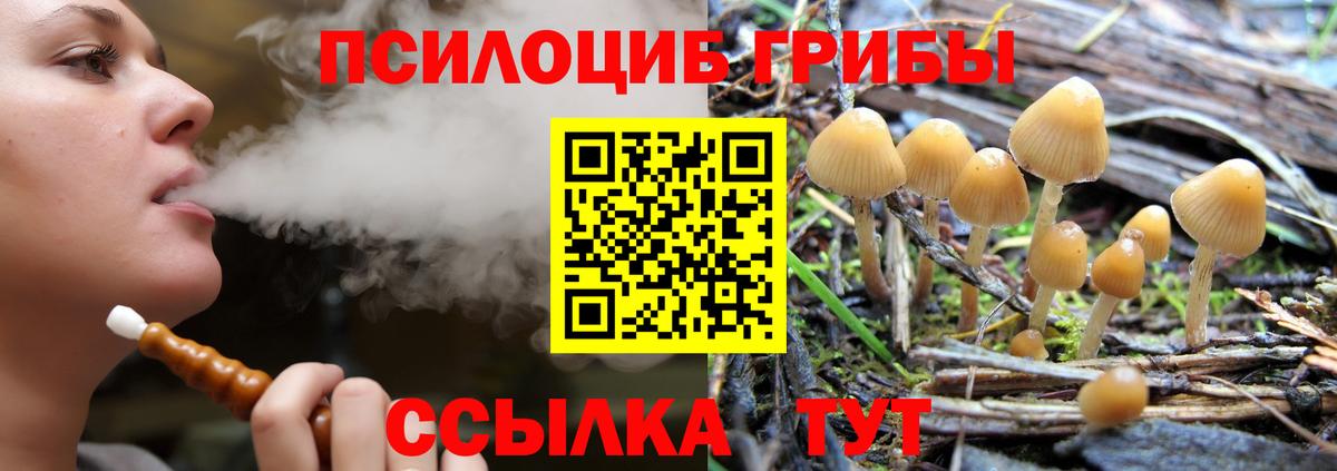 Южно-Сахалинск  Галлюциногенные грибы GOLDEN TEACHER  Вход с VPN 